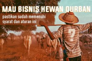 Mau Bisnis Hewan Qurban? Pastikan Sudah Memenuhi Syarat Dan Aturan Ini